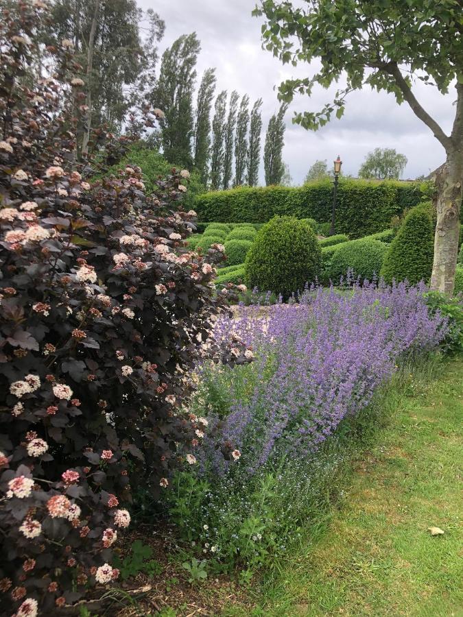 Jasmine Cottage Frome Esterno foto