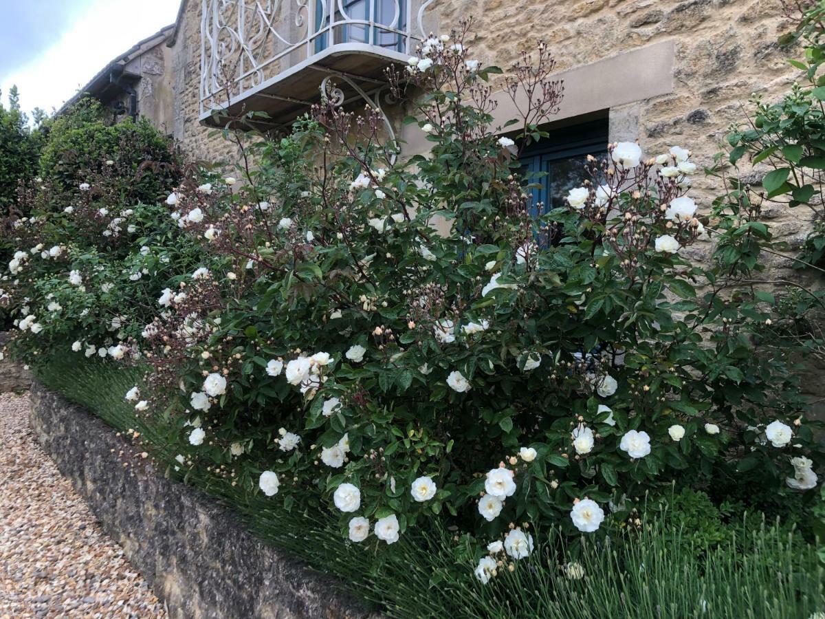 Jasmine Cottage Frome Esterno foto